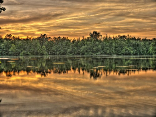 A serene lake at sunset, reflecting vibrant orange and yellow hues with lush trees lining the shore.