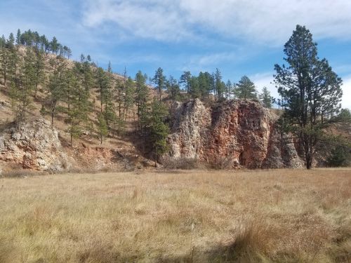 A rocky hillside with scattered pine trees, set against a clear blue sky and a grassy foreground.