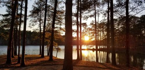 Sunset over a serene lake, framed by tall pine trees, casting reflections on the water's surface.