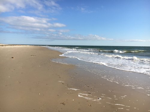 A serene beach scene with gentle waves lapping at the sandy shore under a clear blue sky.