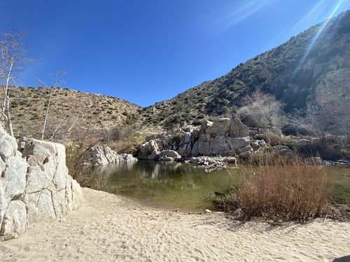 A serene landscape featuring a rocky shoreline, calm water, and mountains under a clear blue sky.