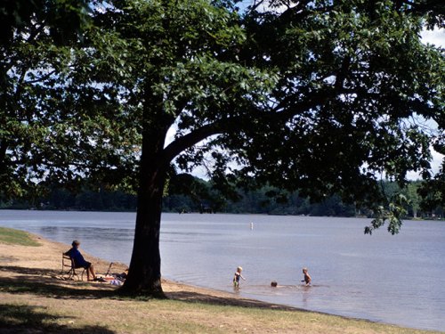 A serene lakeside scene with a person sitting under a tree, while two children play in the water nearby.