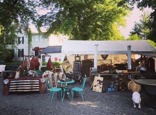 A vintage market scene with a tent, rustic furniture, decor items, and a white dog in a gravel area under trees.