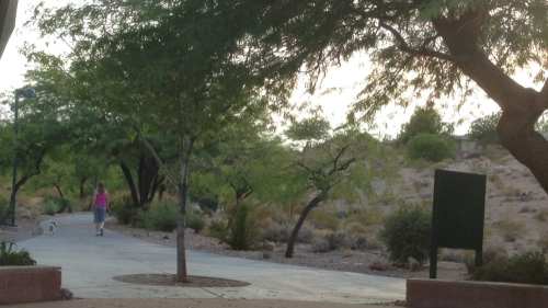 A person walks a dog along a path in a park surrounded by trees and desert landscape.