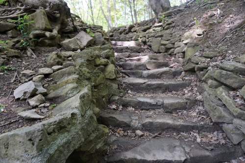 Stone steps winding through a wooded area, surrounded by greenery and rocky terrain.