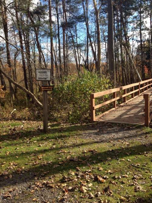A wooden bridge leads into a wooded area, with a sign nearby and autumn leaves scattered on the ground.