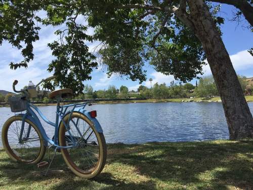 A blue bicycle rests by a serene lake, surrounded by trees and a clear sky.