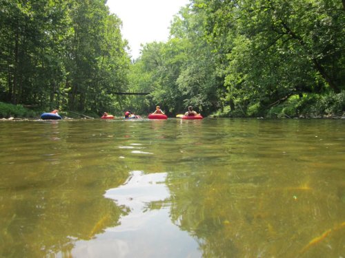 People floating on colorful inner tubes in a calm river surrounded by lush green trees.