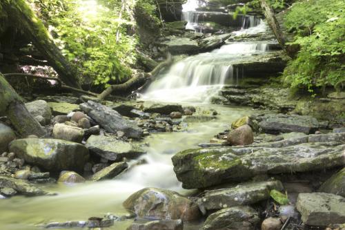 A serene waterfall cascades over rocks, surrounded by lush greenery and a gentle stream flowing through the forest.