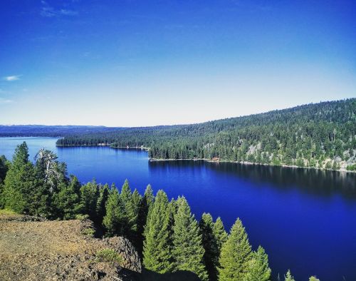 A serene lake surrounded by lush green forests under a clear blue sky.