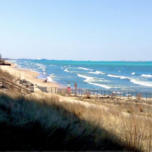 A serene beach scene with gentle waves, sandy shore, and a clear blue sky, framed by grass and wooden fencing.