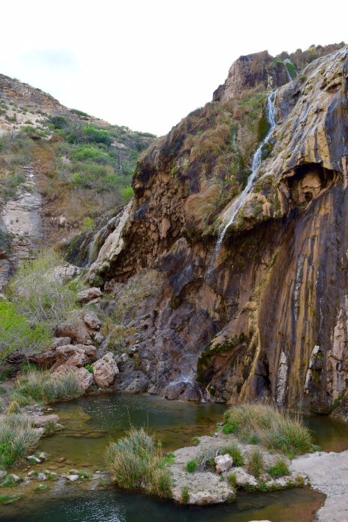 A serene waterfall cascading down rocky cliffs into a tranquil pool surrounded by lush greenery.