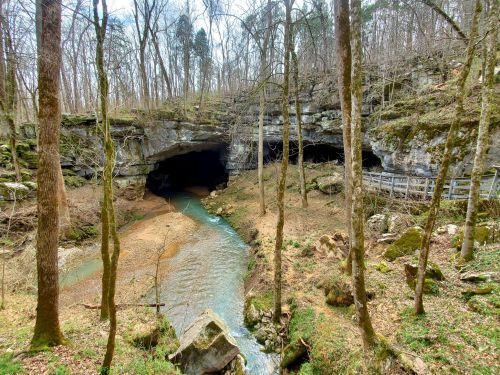 A serene forest scene featuring a river flowing between rocky caves, surrounded by bare trees and mossy ground.