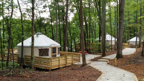 Two yurts nestled among trees, connected by a gravel path, with wooden decks and a serene forest backdrop.