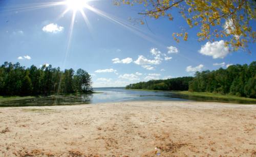 A sunny lakeside view with a sandy shore, surrounded by trees and a clear blue sky dotted with clouds.