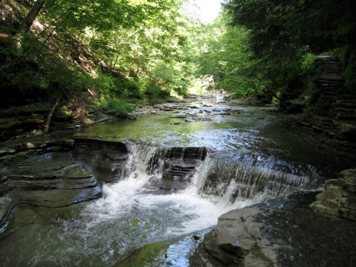 A serene river flows over rocky ledges, surrounded by lush green trees and sunlight filtering through the foliage.