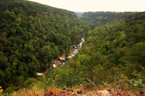 A lush green valley with a winding river, surrounded by dense trees and rocky cliffs under a cloudy sky.