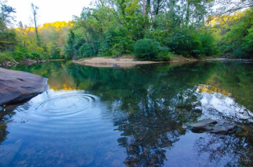 A serene river scene with ripples on the water, surrounded by lush green trees and a sandy bank.