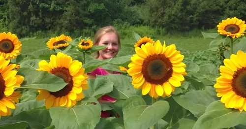 A smiling woman peeks through tall sunflowers in a vibrant green field.