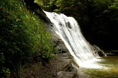 A serene waterfall cascading over rocky terrain into a calm pool, surrounded by lush green foliage.