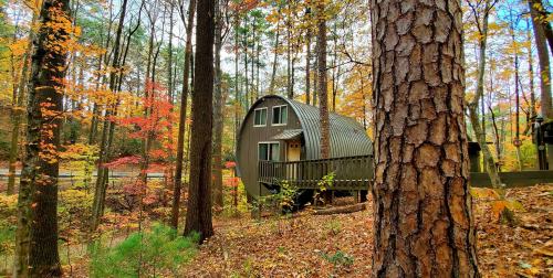 A unique curved cabin nestled among colorful autumn trees in a serene forest setting.