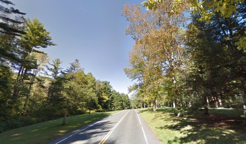 A peaceful road lined with trees, showcasing vibrant autumn foliage under a clear blue sky.