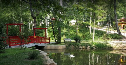 A serene park scene featuring a red bridge over a calm pond, surrounded by lush greenery and trees.