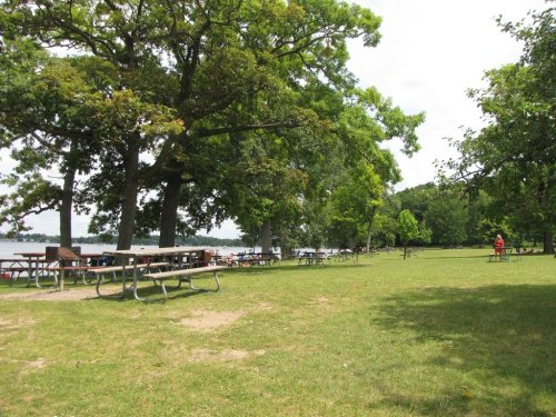 A grassy park by a lake, featuring picnic tables under large trees and people enjoying the outdoors in the background.