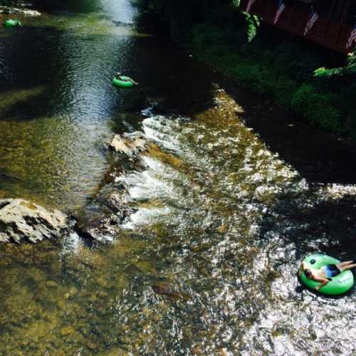 People floating on green inner tubes in a calm river, surrounded by trees and rocky banks.