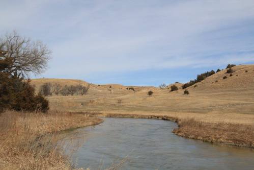 A serene landscape featuring a winding river surrounded by grassy hills and sparse trees under a cloudy sky.