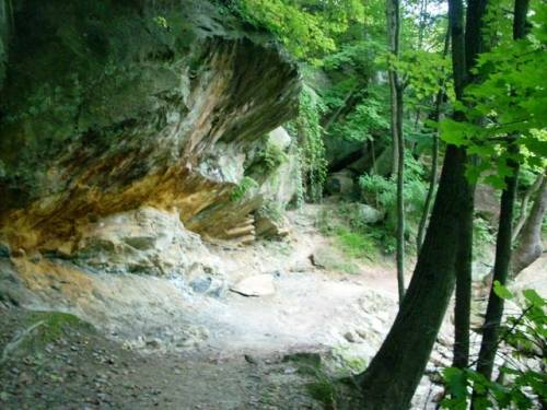 A serene forest scene featuring rocky terrain, lush greenery, and trees surrounding a natural rock formation.