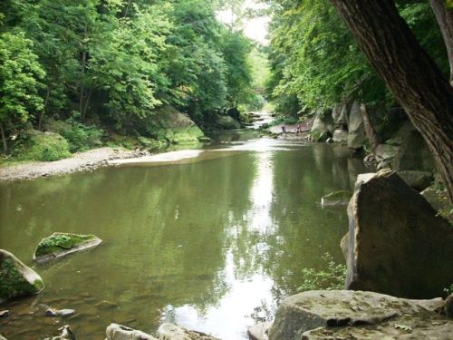 A serene river flows through a lush green forest, surrounded by rocks and trees, reflecting the peaceful landscape.