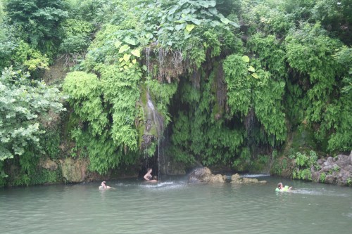 A serene natural scene with a waterfall cascading over lush greenery into a calm pool, where people are swimming.