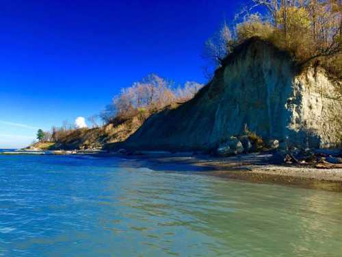 A serene coastal scene featuring a blue sky, calm water, and a rocky cliff with sparse trees along the shoreline.