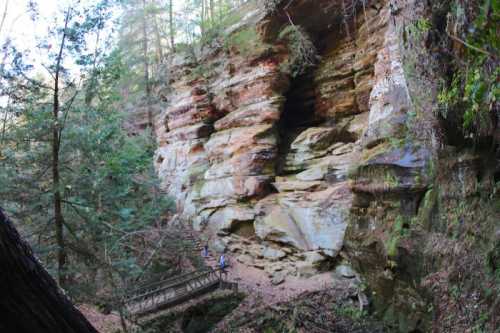 A rocky cliff with colorful layers, surrounded by trees, and a small wooden bridge in the foreground.