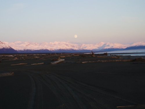 A serene beach scene at dusk, with snow-capped mountains and a rising moon in the background. Driftwood scattered on the shore.