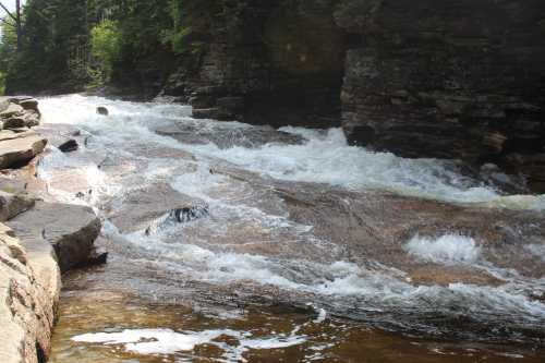 A rocky riverbank with rushing water flowing over smooth stones, surrounded by lush green trees.