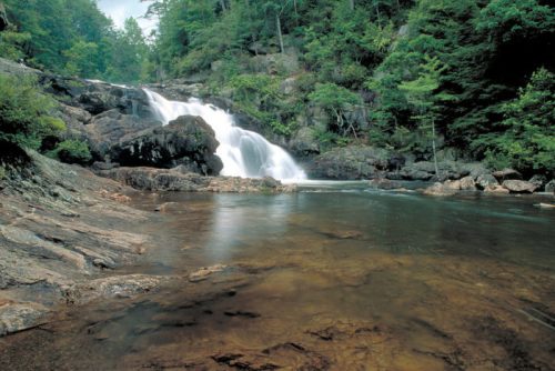 A serene waterfall cascades over rocks into a calm pool, surrounded by lush greenery and trees.
