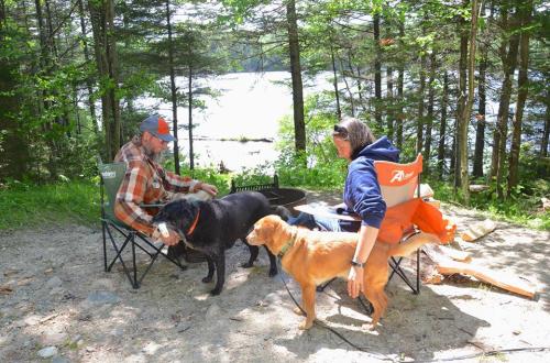Two people sit in camping chairs by a lake, enjoying the outdoors with two dogs among trees.