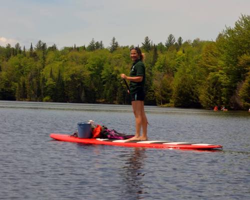 A person stands on a paddleboard in a calm lake, surrounded by lush green trees and a clear sky.