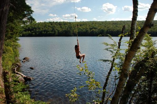 A person swings from a rope over a calm lake, surrounded by trees and a lush green landscape under a blue sky.