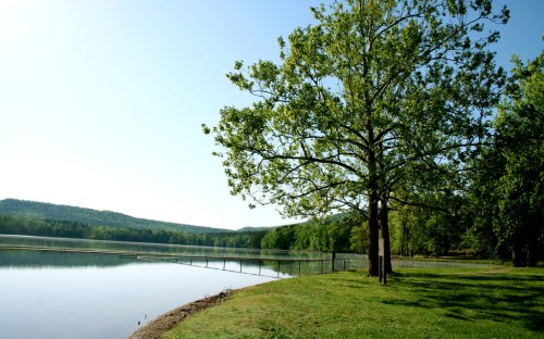A serene lake scene with a large tree, green grass, and distant hills under a clear blue sky.