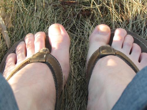 Close-up of two feet in flip-flops resting on grass, with sunlight highlighting the toes and footwear.