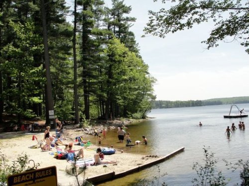 A sandy beach by a lake, with people sunbathing, swimming, and enjoying the outdoors among trees.
