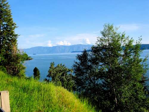 A serene lake view surrounded by lush greenery and distant mountains under a clear blue sky.