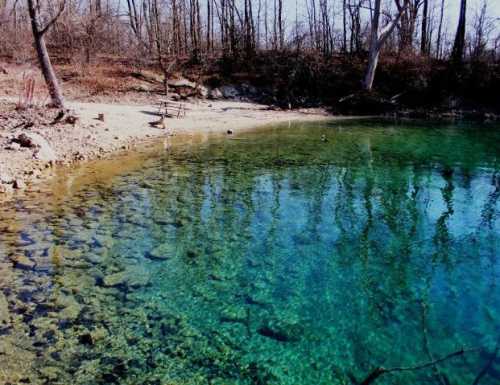 A serene, clear blue lake surrounded by trees, with visible rocks and a sandy shore.