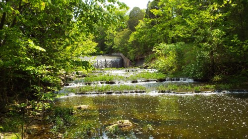 A serene landscape featuring a waterfall surrounded by lush green trees and a calm, reflective pond.
