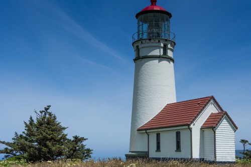 A white lighthouse with a red roof stands beside a tree, overlooking the ocean under a clear blue sky.