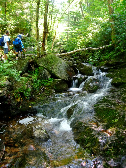 A serene forest scene with a small waterfall flowing over rocks, surrounded by lush greenery and two hikers in the background.