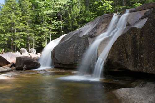 A serene waterfall cascading over rocks into a clear pool, surrounded by lush green trees.